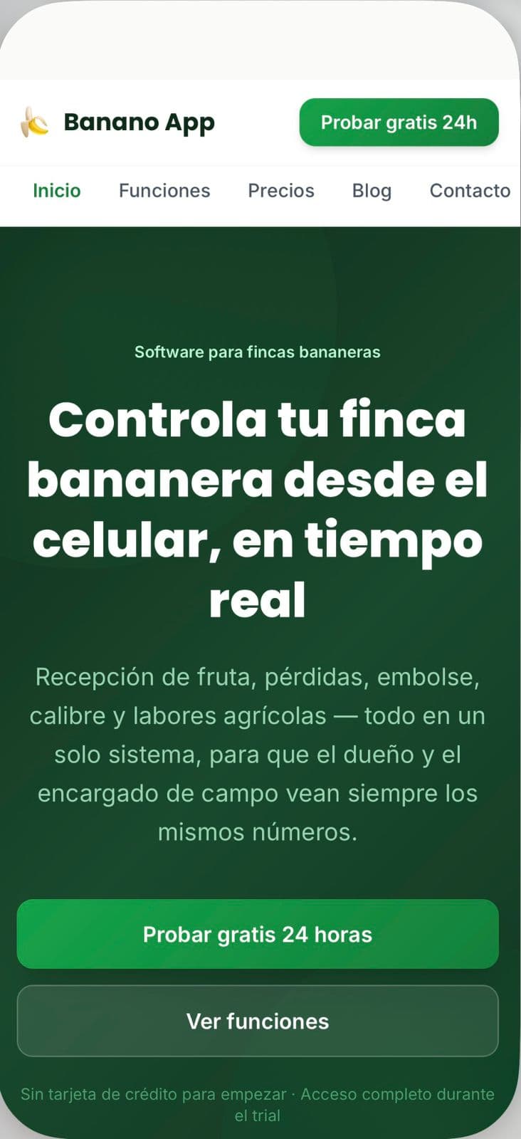 Automatización de procesos